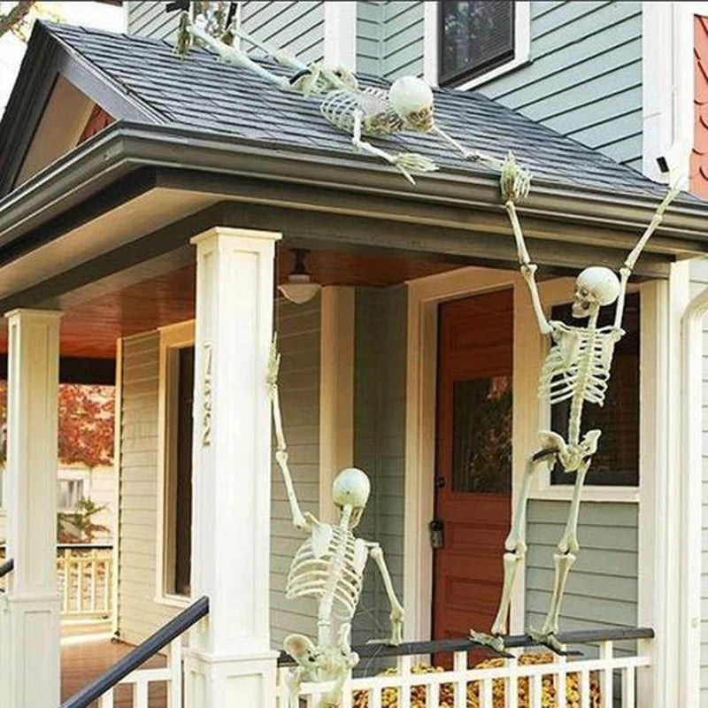 Esqueleto para decoración
