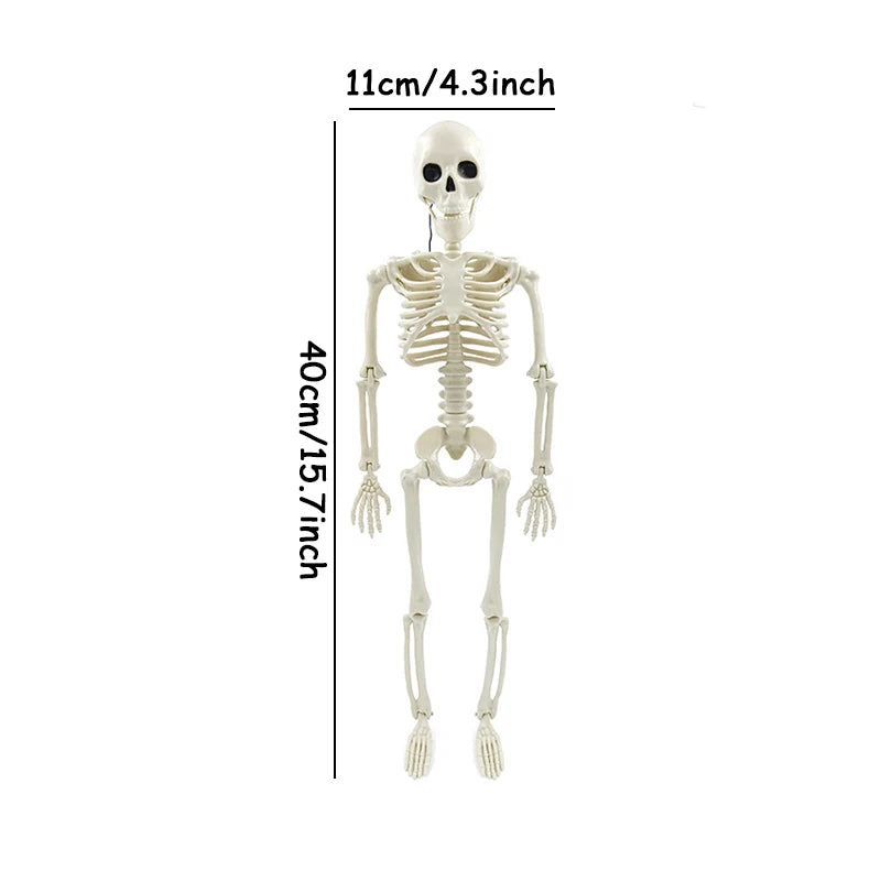 Esqueleto para decoración